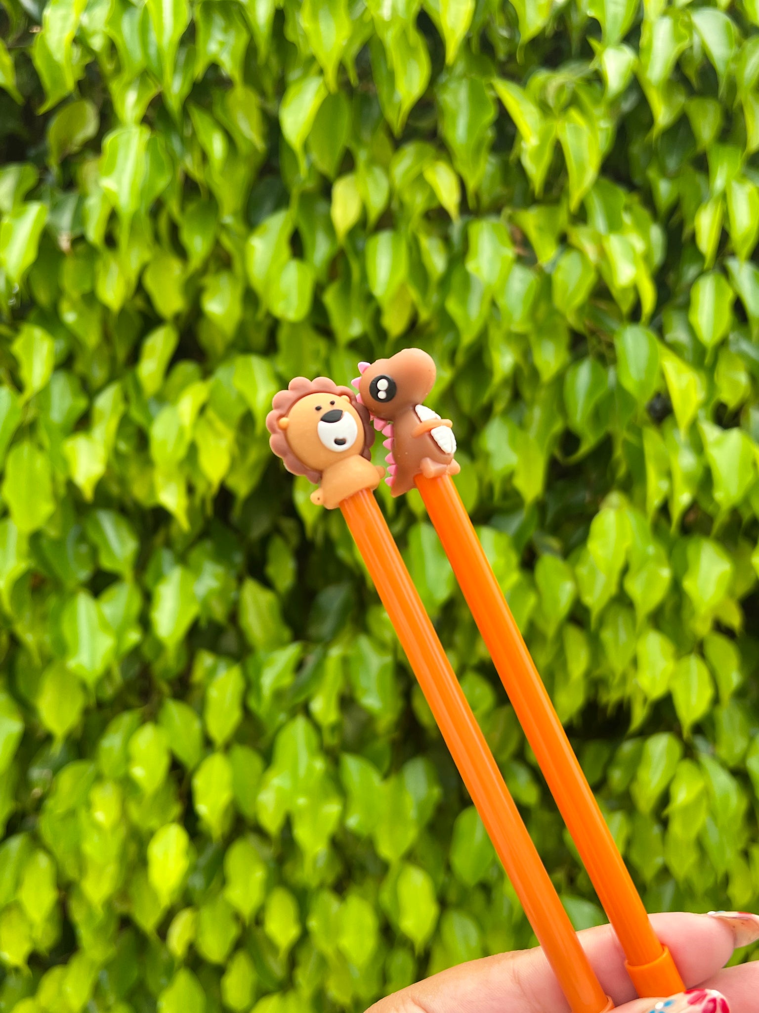 Animal Pens